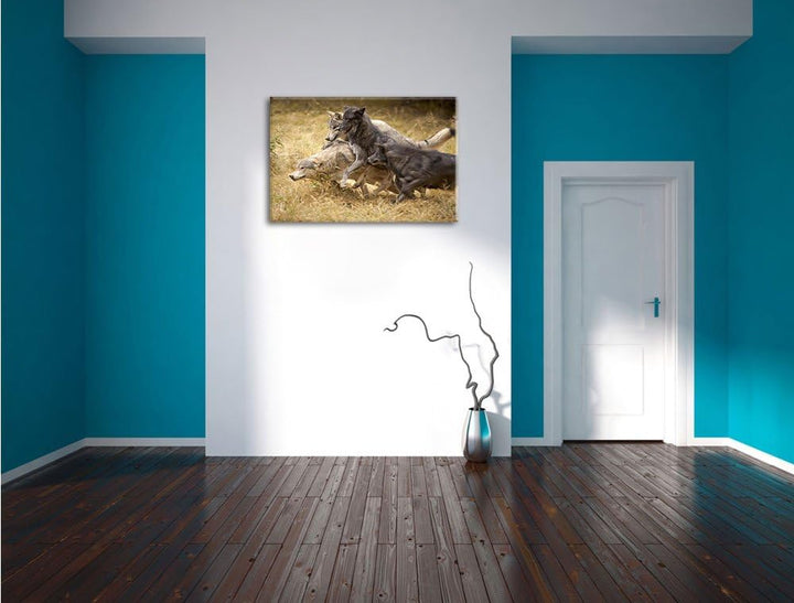 Tobendes Wolfsrudel, Format: 100x70 auf Leinwand, XXL riesige Bilder fertig gerahmt mit Keilrahmen,