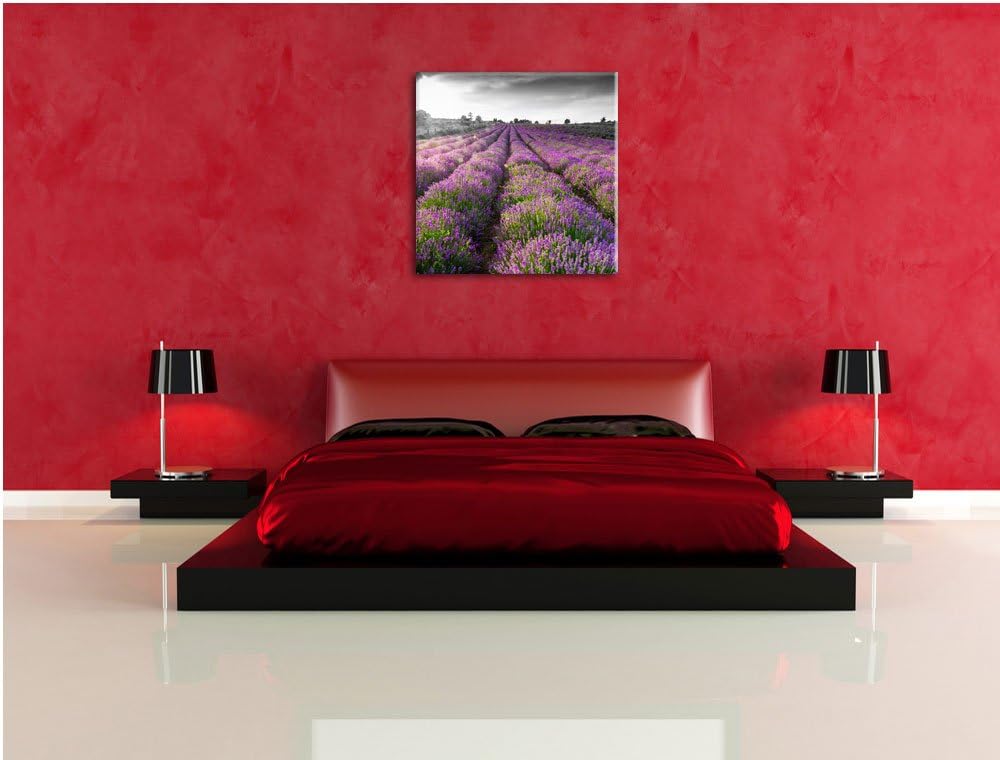 Pixxprint Lavendelfelder in der Provence schwarz/weiss, Format: 70x70 auf Leinwand, 70x70