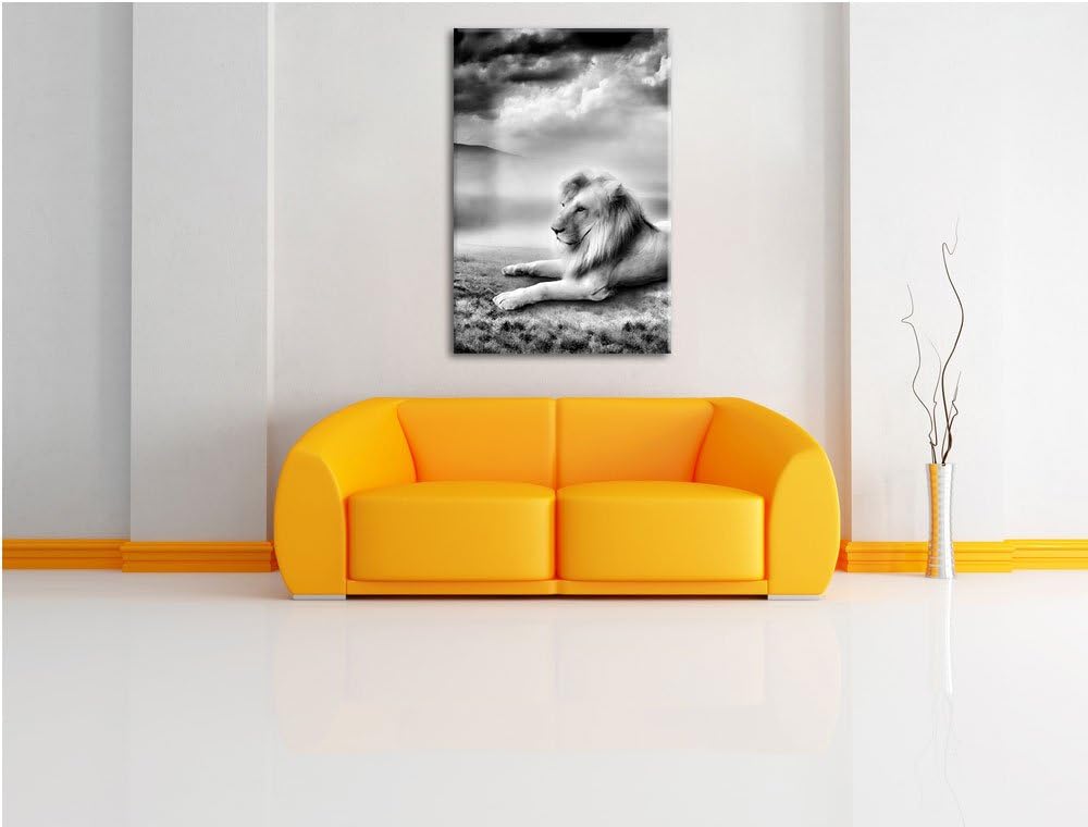 Pixxprint Monocrome, Stolzer weisser Löwenkönig, Format: 100x70 auf Leinwand, riesige Bilder fertig