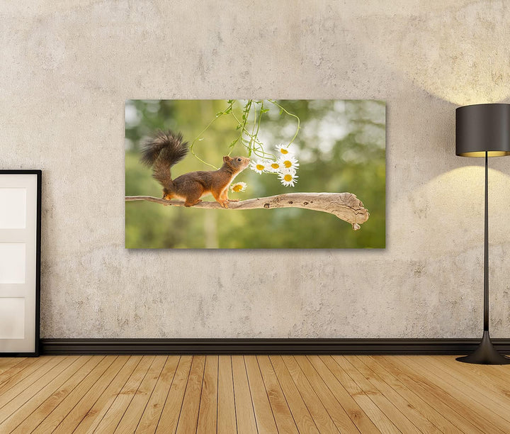 islandburner Bild auf Leinwand süsses Eichhörnchen auf AST mit Blumen Wandbild Poster Kunstdruck Bil