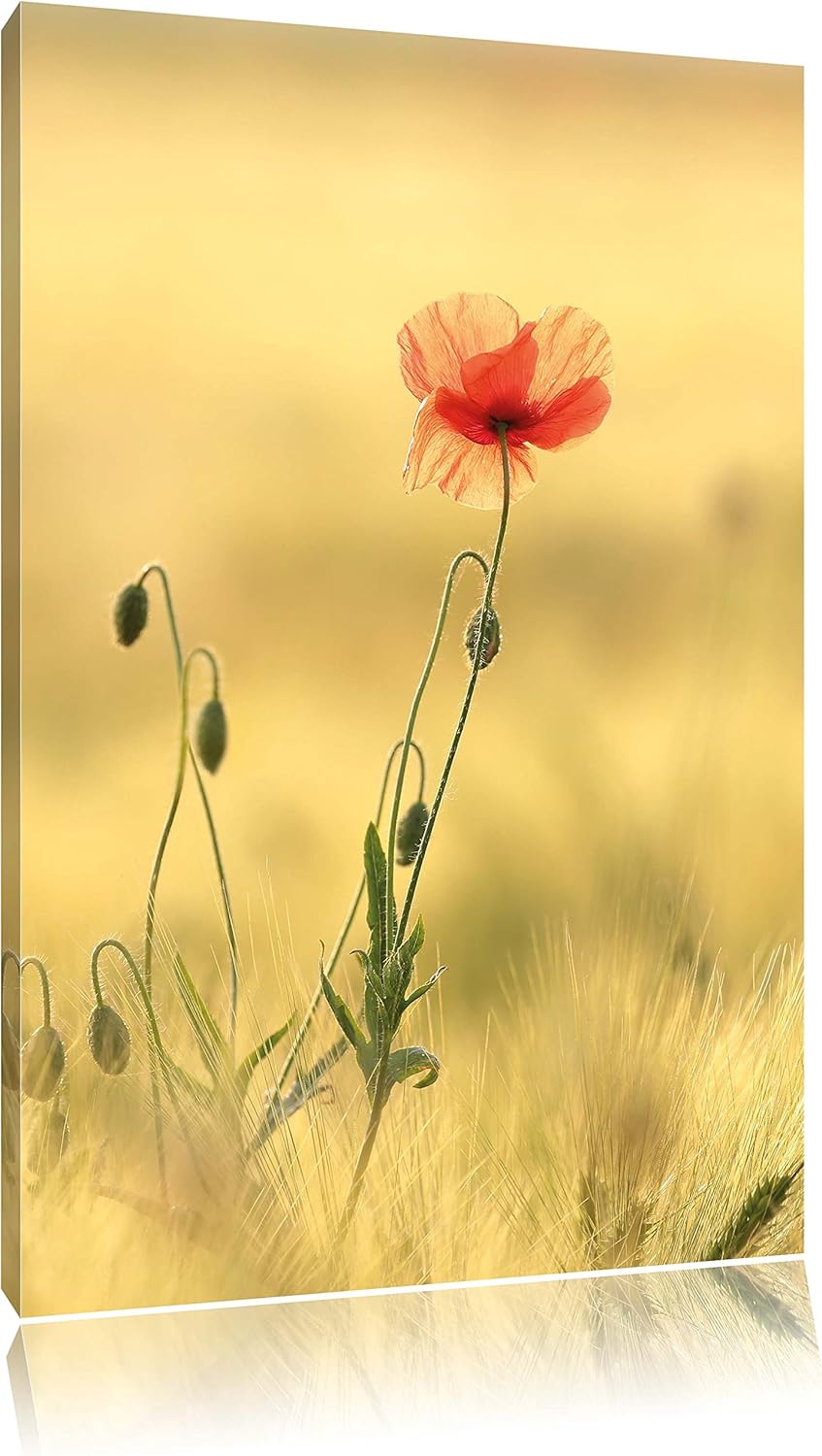 Pixxprint rote Blumen im Feld Tulpen Gemälde, Format: 100x70 auf Leinwand, 100x70