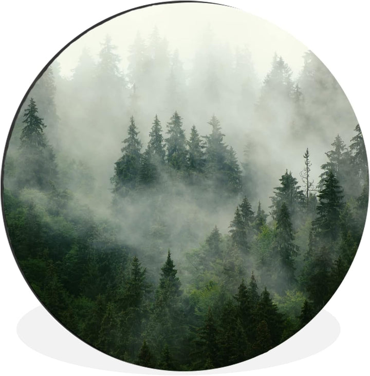MuchoWow Wandbild Rund Wanddeko Deko Wohnzimmer Bilder 90x90 cm Wald - Nebel - Bäume - Natur, 90x90