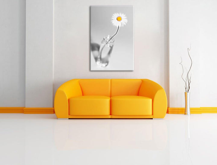 zartes Gänseblümchen im stilvollen Glas schwarz/weiss Deluxe Format: 100x70 cm auf Leinwand, XXL rie