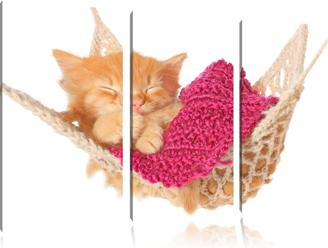 Pixxprint Schlafendes Katzenbaby in Hängematte 3-Teiler Leinwandbild 120x80 Bild auf Leinwand