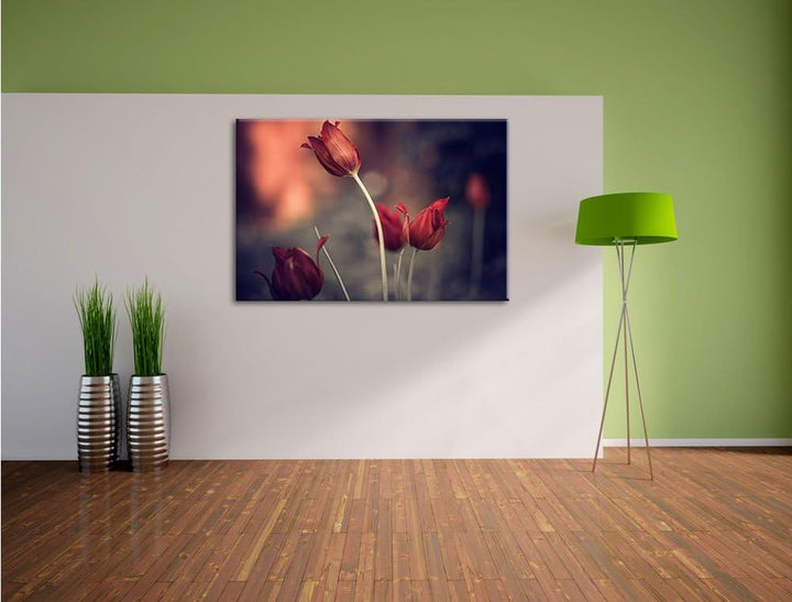 Edle Tulpen im Abendlicht Format: 100x70 auf Leinwand, XXL riesige Bilder fertig gerahmt mit Keilrah