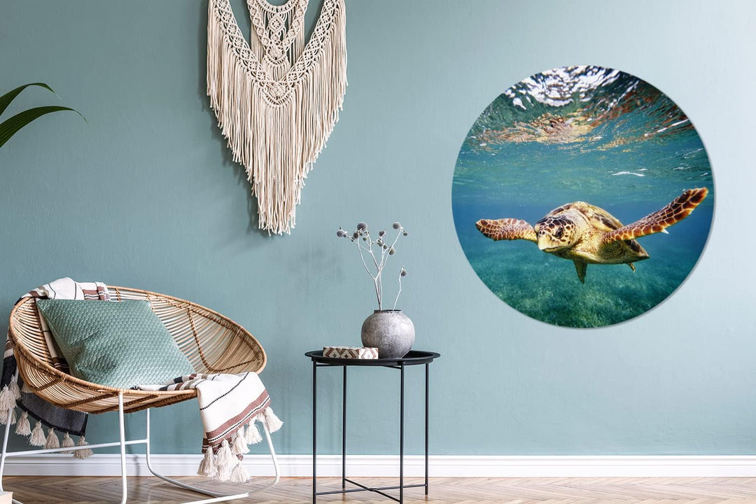 MuchoWow Wandbild Rund Wanddeko Deko Wohnzimmer Bilder 90x90 cm Schildkröte - Wasser - Blau, 90x90 c