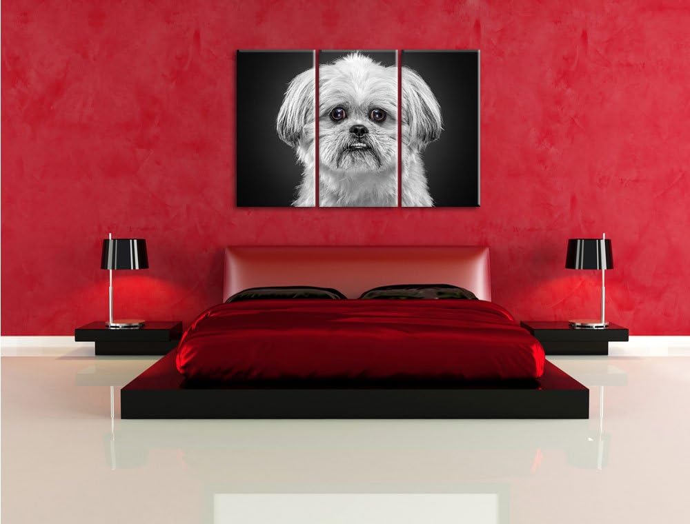 Pixxprint lustiger Kleiner Hund als Leinwandbild | Grösse: 3 Teilig (120x80) | Wandbild| Kunstdruck