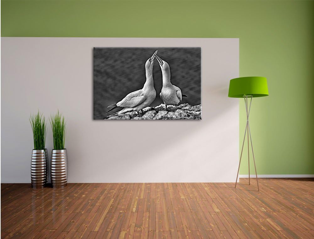 Pixxprint Monocrome, aussergewöhnliche Vögel am Meer, Format: 100x70 auf Leinwand, riesige Bilder fe