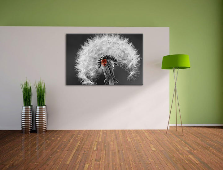 schöner Marienkäfer auf Pusteblume schwarz/weiss Format: 100x70 auf Leinwand, XXL riesige Bilder fer