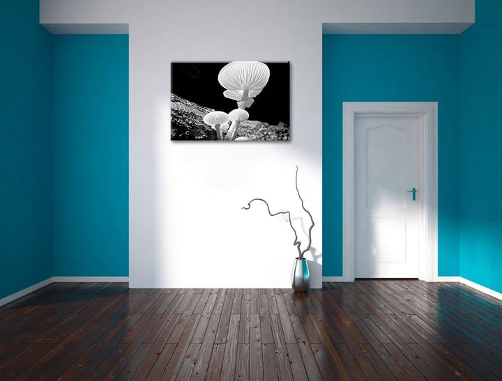 Pixxprint Dark weisse Pilzeauf Leinwand, XXL riesige Bilder fertig gerahmt mit Keilrahmen, Kunstdruc