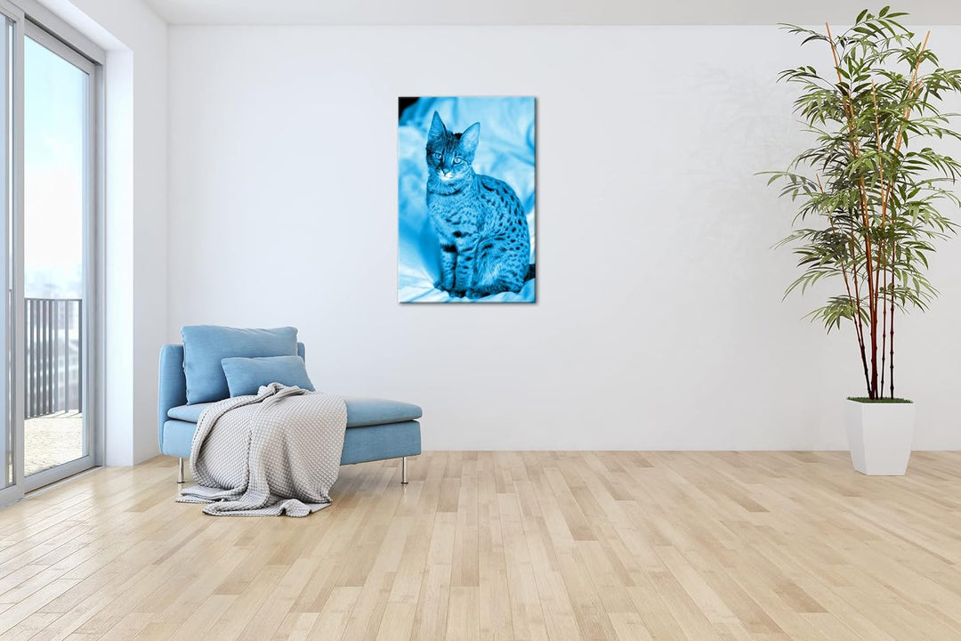 deyoli süsse Savannah Katze Format 80x60 Effekt: Monocrome Blau als Leinwandbild, Motiv fertig gerah