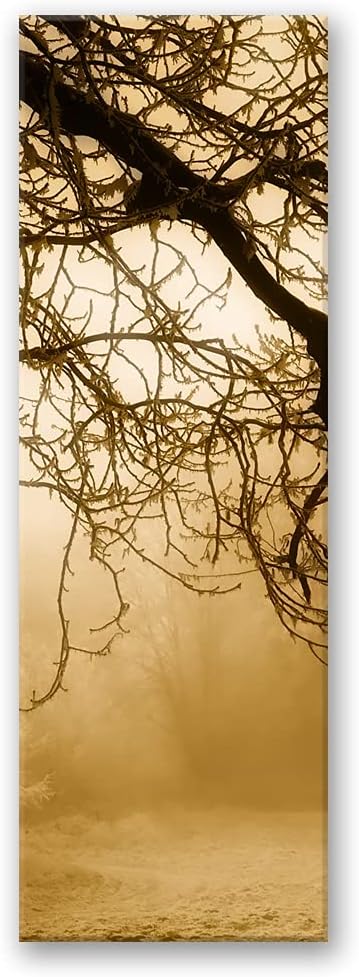 Febby Vlies Leinwandbild XXL Bäume Im Nebel 50x150 cm Wandbild Kunst Bilder Schlafzimmer Deko Wohnzi