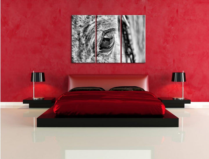 Pixxprint schöne grosse Pferdeaugen als Leinwandbild | Grösse: 3 Teilig (120x80) | Wandbild| Kunstdr