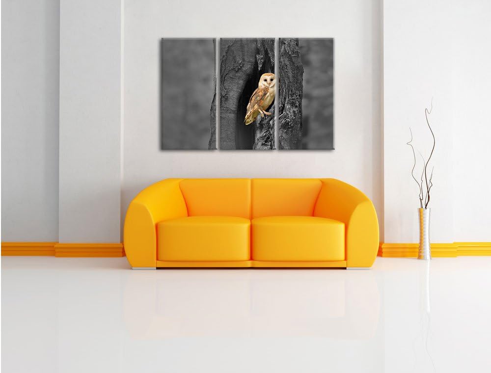 Pixxprint Schleiereule Baumhöhle / 3-Teilig/Gesamtmass 120cm Leinwandbild bespannt auf Holzrahmen/Wa