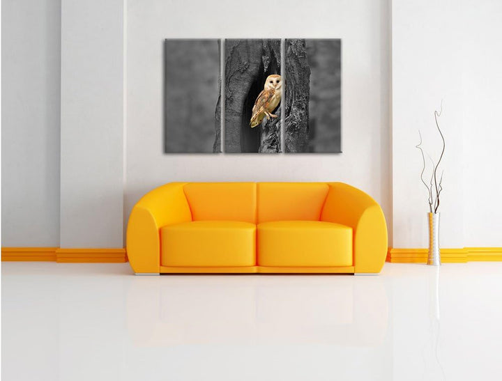 Pixxprint Schleiereule Baumhöhle / 3-Teilig/Gesamtmass 120cm Leinwandbild bespannt auf Holzrahmen/Wa