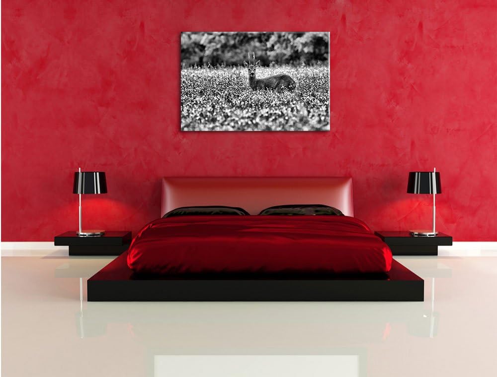 Pixxprint Monocrome, junger Hirsch auf Wildwiese, Format: 100x70 auf Leinwand, 100x70