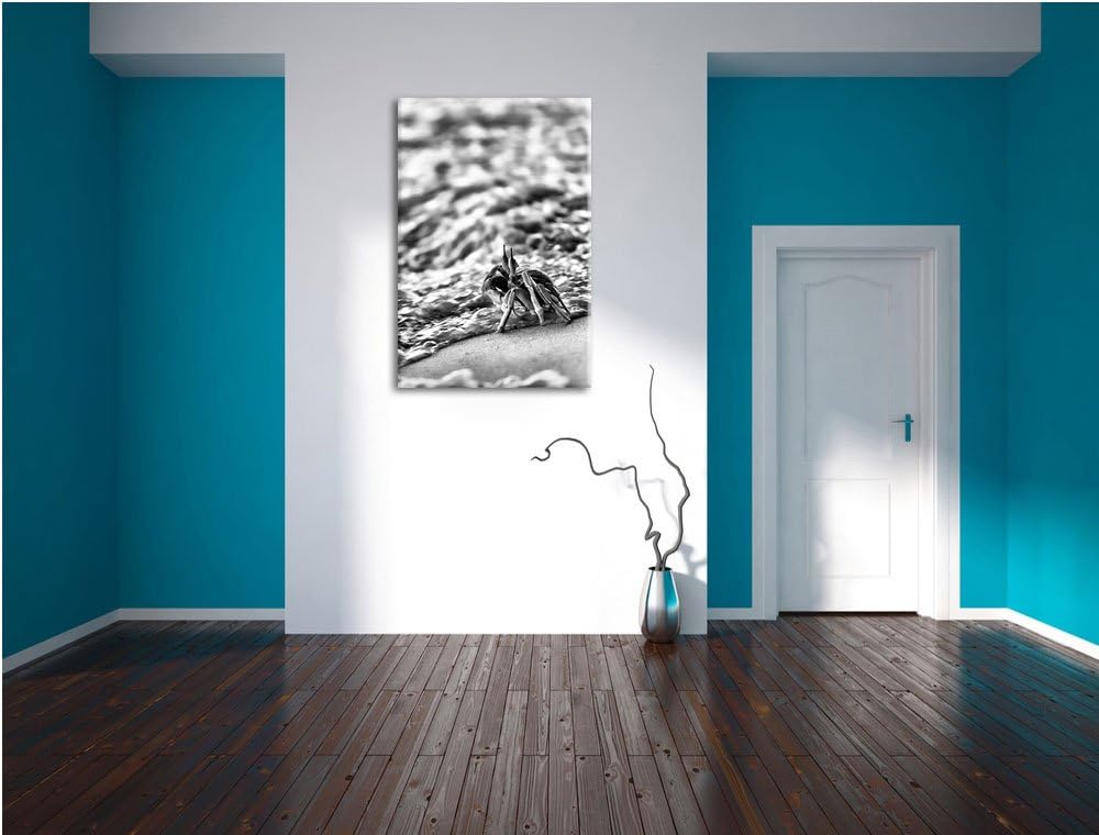 Pixxprint Monocrome, kleine Krabbe am Strand als Leinwandbild | Grösse: 100x70 | Wandbild| Kunstdruc