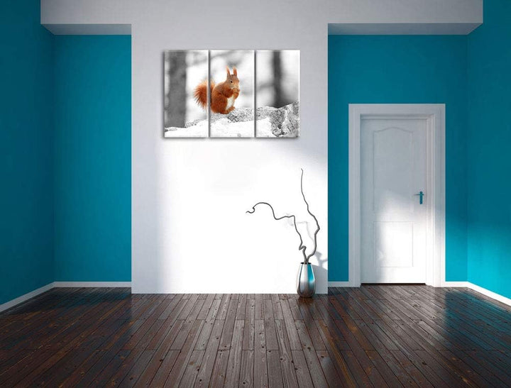 niedliches Eichhörnchen in verschneitem Wald schwarz/weiss 3-Teiler Leinwandbild 120x80 Bild auf Lei