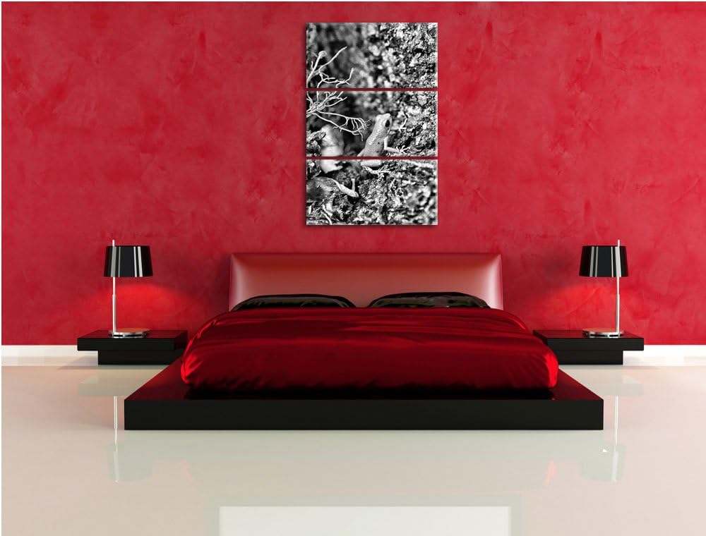 Pixxprint hochgiftiger Kleiner Frosch als Leinwandbild/Grösse: 3 Teilig (120x80) cm/Wandbild/Kunstdr