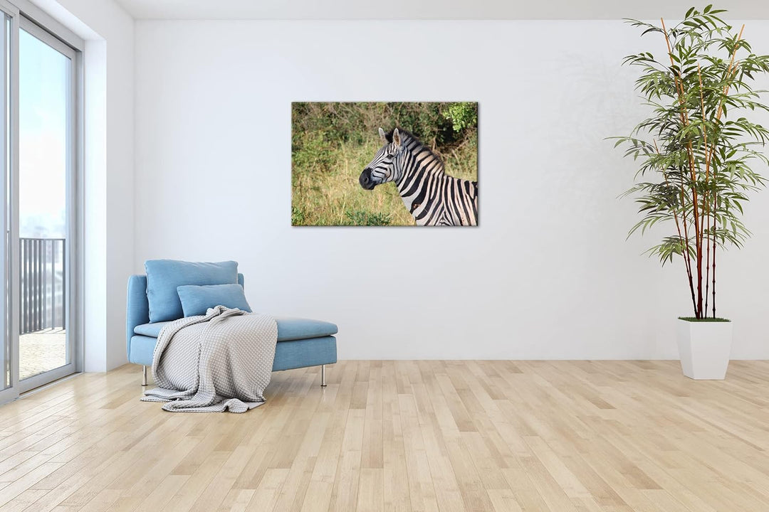deyoli edles Zebra Format: 100x70 als Leinwand, Motiv fertig gerahmt auf Echtholzrahmen, Hochwertige