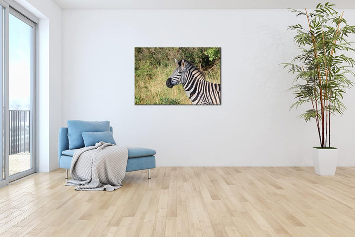 deyoli edles Zebra Format: 100x70 als Leinwand, Motiv fertig gerahmt auf Echtholzrahmen, Hochwertige
