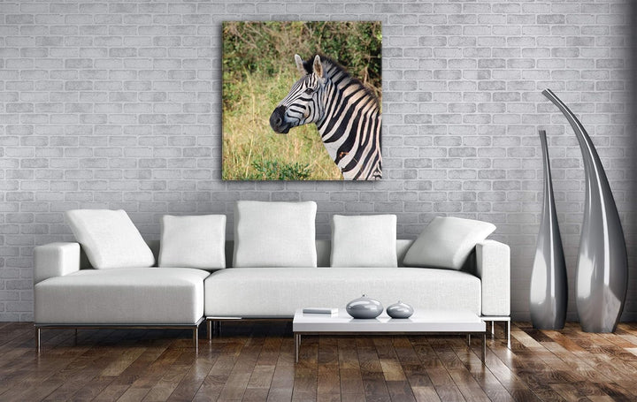 deyoli edles Zebra Format: 60x60 als Leinwand, Motiv fertig gerahmt auf Echtholzrahmen, Hochwertiger