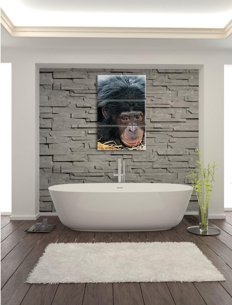Pixxprint Kleiner Schimpanse im Heu 3-Teiler Leinwandbild 120x80 Bild auf Leinwand