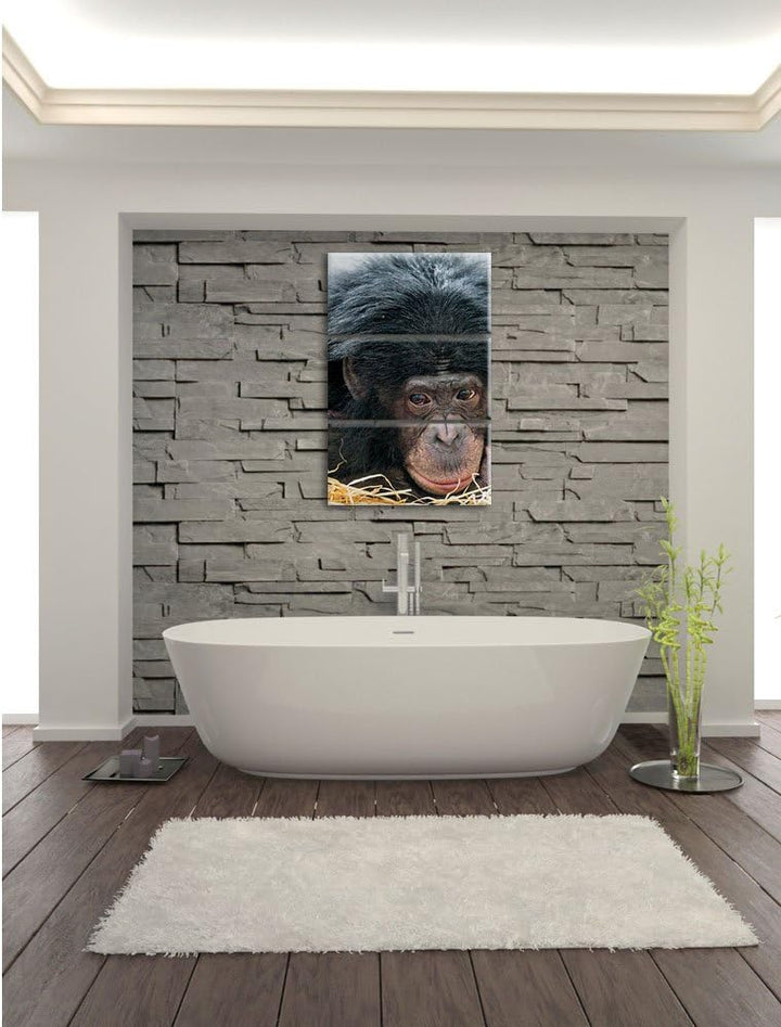 Pixxprint Kleiner Schimpanse im Heu 3-Teiler Leinwandbild 120x80 Bild auf Leinwand
