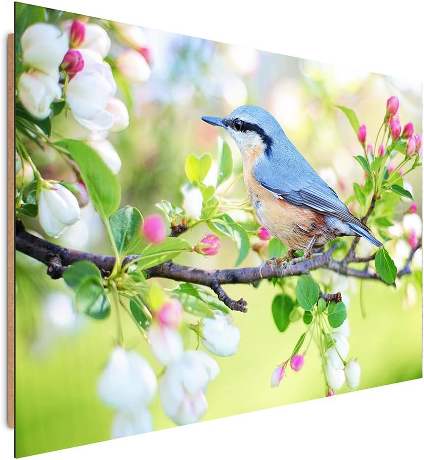 Feeby. Wandbilder - 1 Teilig- 60x80 cm - Bilder Kunstdrucke Deko Panel, VOGEL, NATUR, BLAU, GRÜN, 60