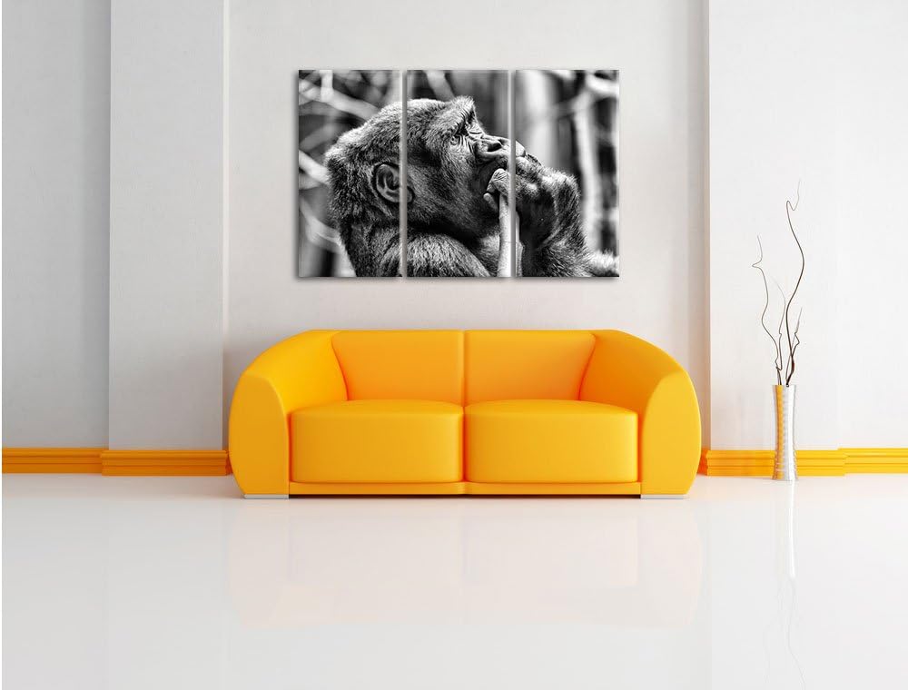 Pixxprint Gorilla isst als Leinwandbild/Grösse: 3 Teilig (120x80) cm/Wandbild/Kunstdruck/fertig besp