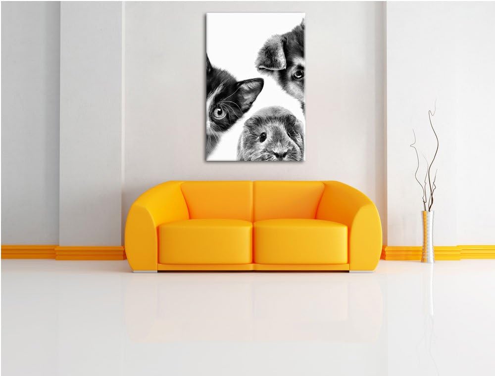 Pixxprint Trio Hund Katze Meerschwein / 100x70cm Leinwandbild bespannt auf Holzrahmen/Wandbild Kunst