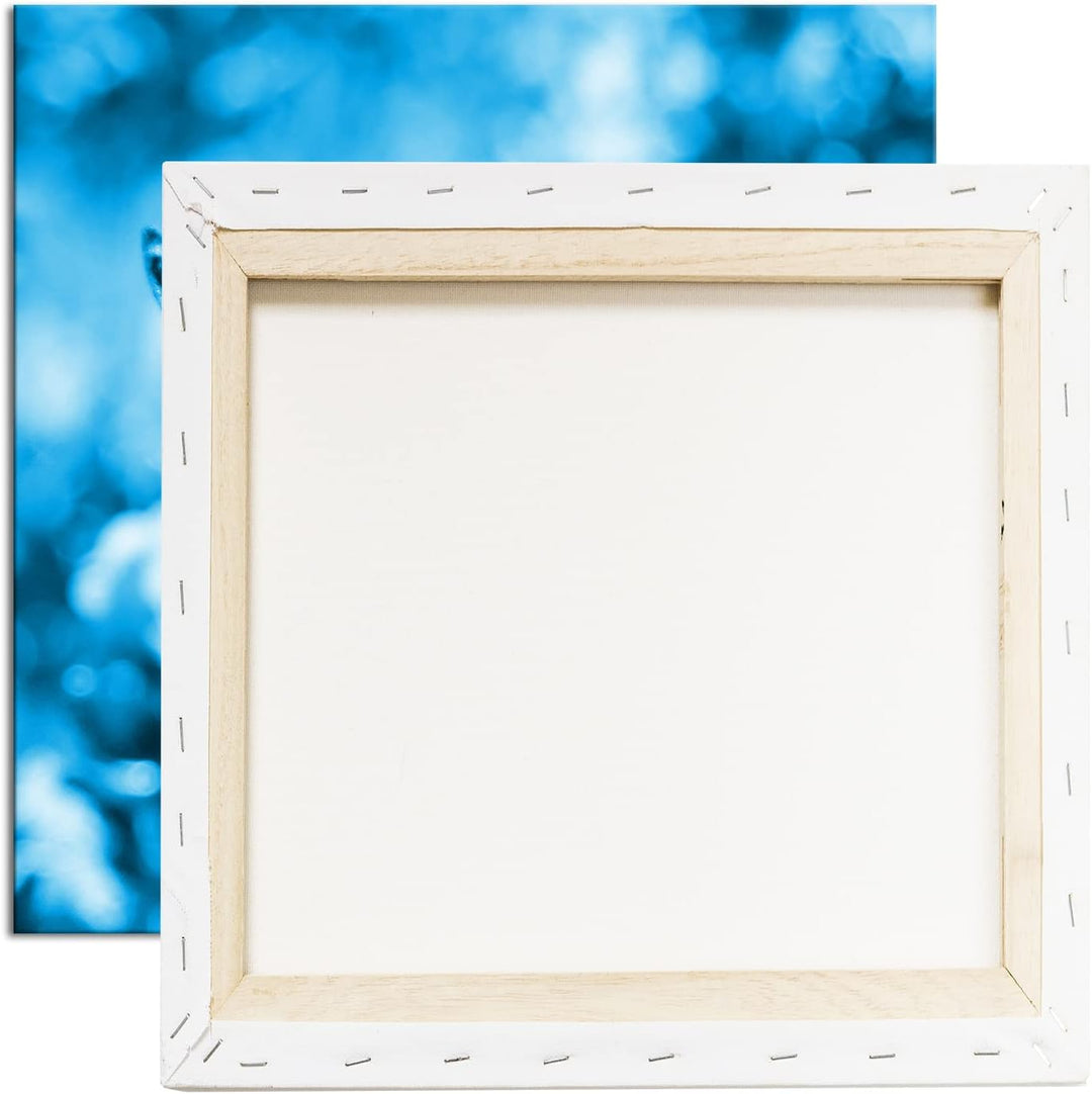 deyoli süsser Schmetterling Format: 60x60 Effekt: Monocrome Blau als Leinwandbild, Motiv fertig gera