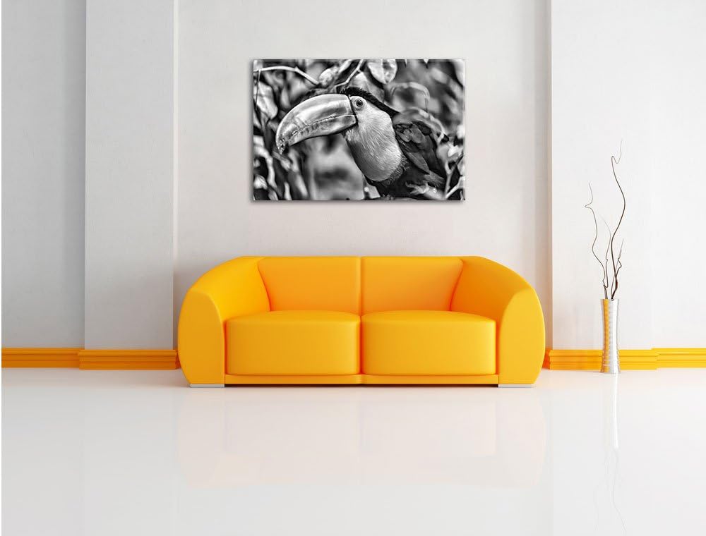 Pixxprint farbenfroher Fischertukan als Leinwandbild/Grösse: 100x70 / Wandbild/Kunstdruck/fertig bes