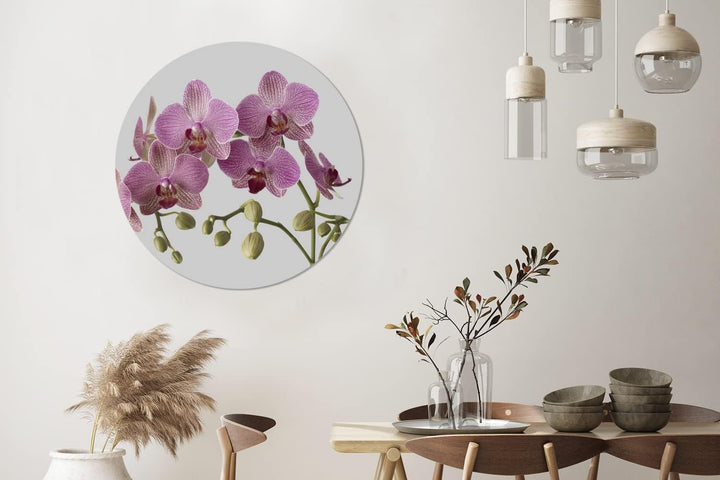 MuchoWow Wandbild Rund Wanddeko Deko Wohnzimmer Bilder 90x90 cm Orchideen auf grauem Hintergrund, 90