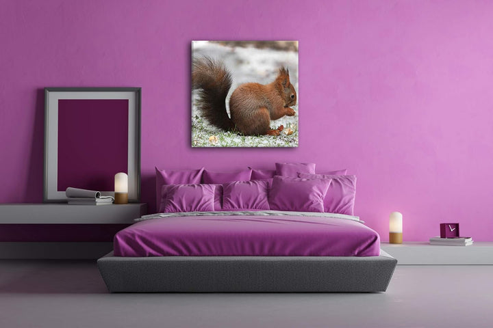 deyoli kleines Eichhörnischen Format: 70x70 als Leinwandbild, Motiv fertig gerahmt auf Echtholzrahme