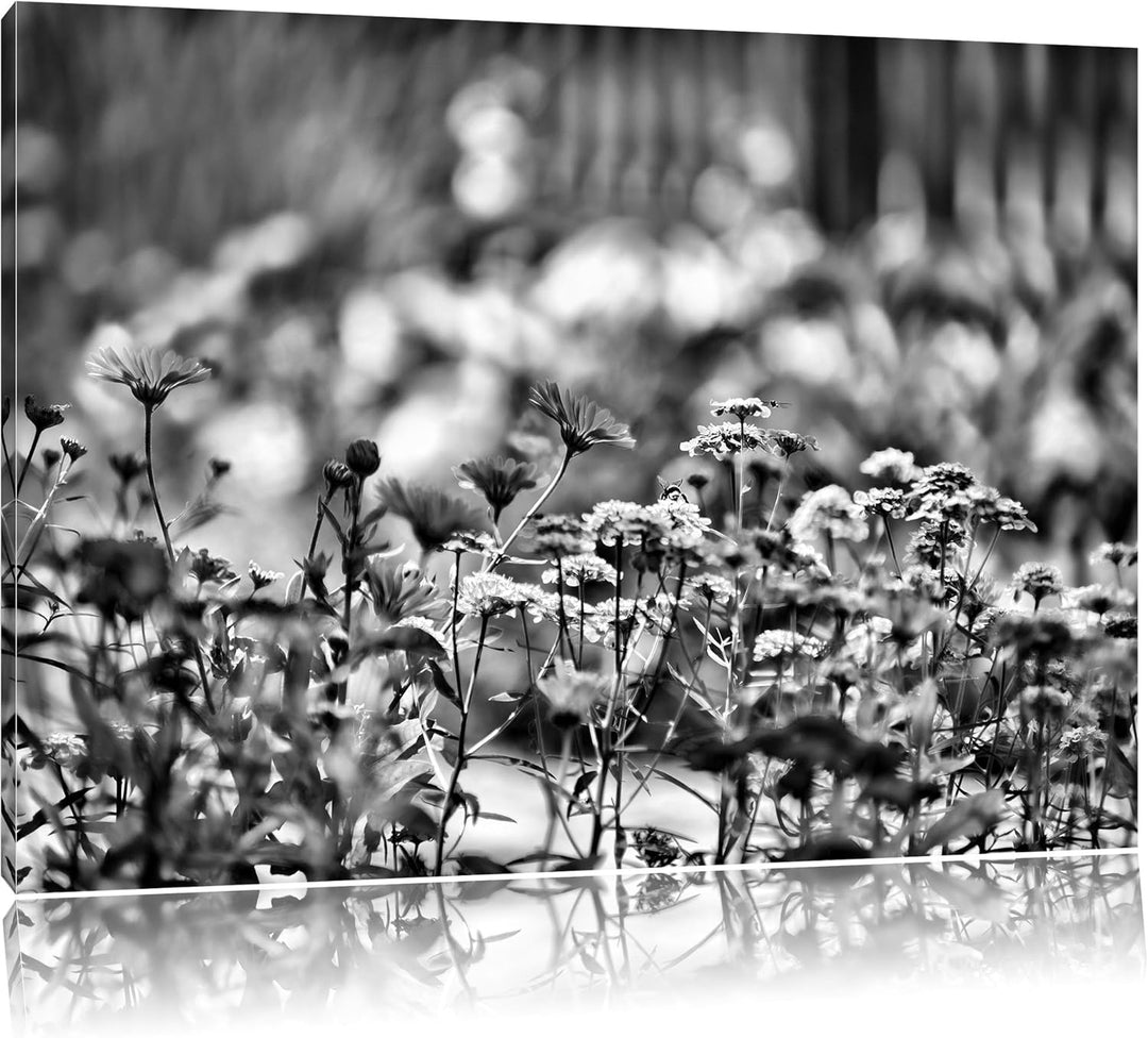 Monocrome, Blumenwiese, Format: 100x70 auf Leinwand, XXL riesige Bilder fertig gerahmt mit Keilrahme