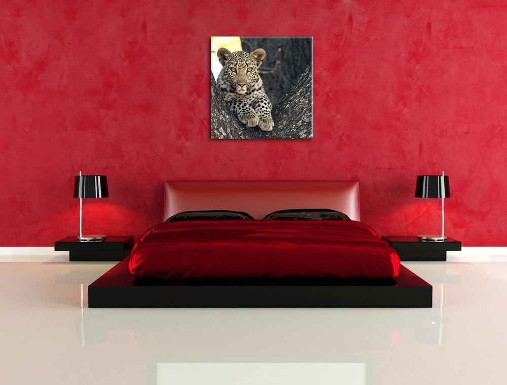 Pixxprint Leopardenbaby, Format: 70x70 auf Leinwand, XXL riesige Bilder fertig gerahmt mit Keilrahme