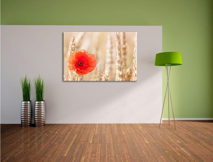 Mohnblume im Kornfeld, Format: 100x70 auf Leinwand, XXL riesige Bilder fertig gerahmt mit Keilrahmen