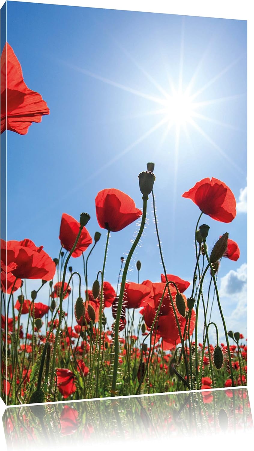 Pixxprint Mohnblumen, Format: 100x70 auf Leinwand, XXL riesige Bilder fertig gerahmt mit Keilrahmen,