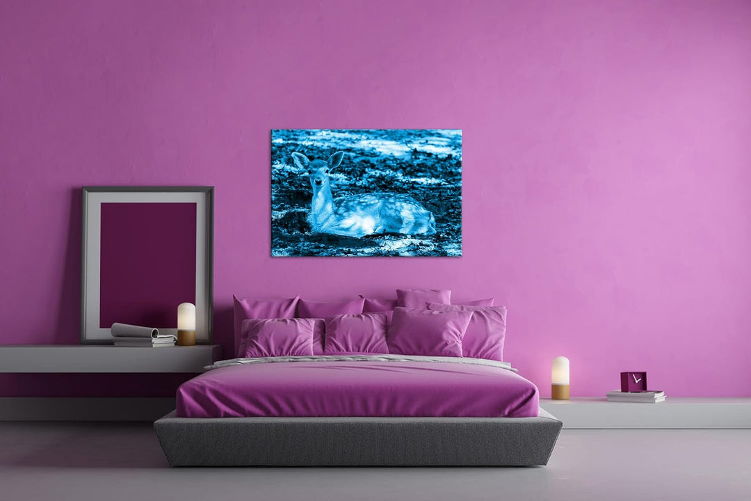 süsses Rehkitz in der Natur Format 80x60 Effekt: Monocrome Blau als Leinwandbild, Motiv fertig gerah