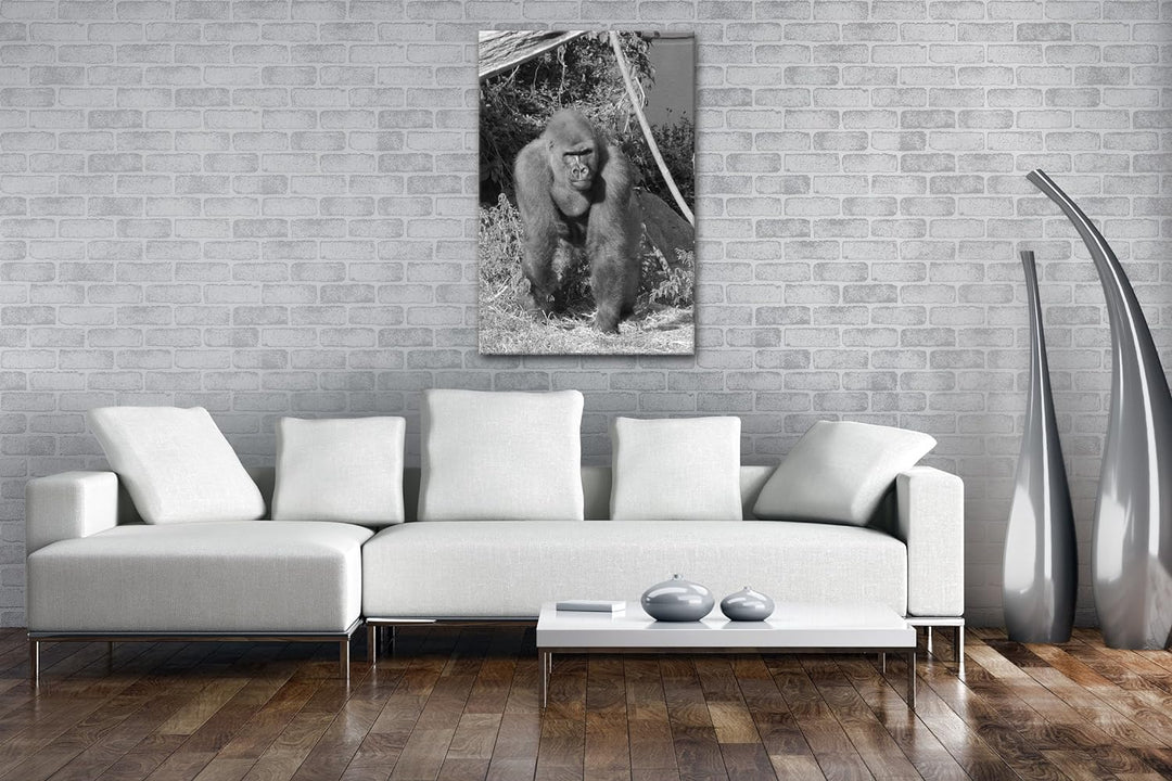 deyoli stolzer Gorilla Format: 80x60 Effekt: Schwarz/Weiss als Leinwand, Motiv fertig gerahmt auf Ec