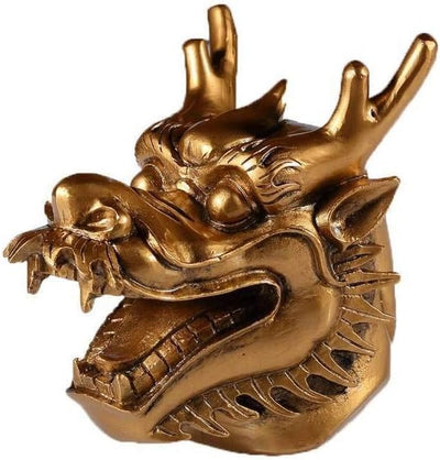lachineuse Chinesischer Drachenkopf Goldkopf, Goldkopf