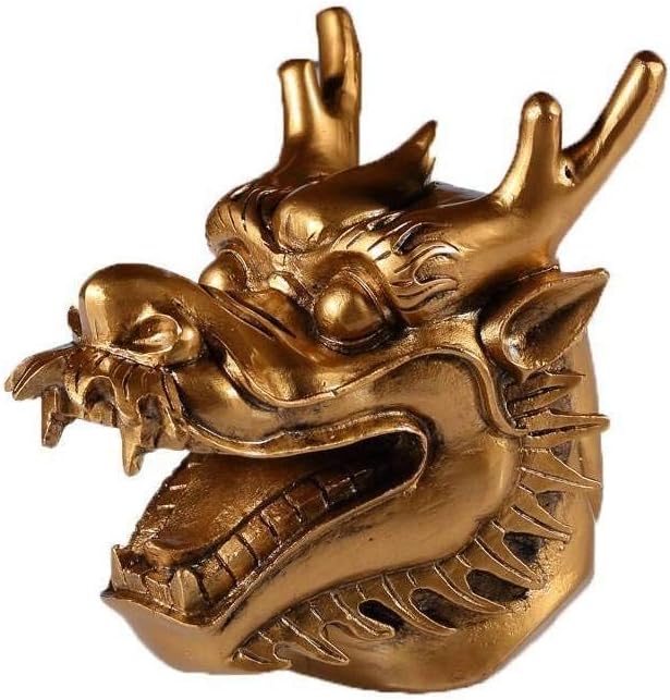 lachineuse Chinesischer Drachenkopf Goldkopf, Goldkopf