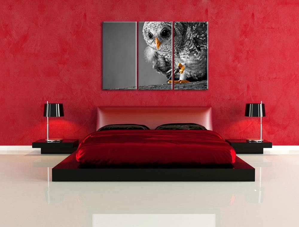 Eule mit Grille in ihren Krallen schwarz/weiss 3-Teiler Leinwandbild 120x80 Bild auf Leinwand, XXL r