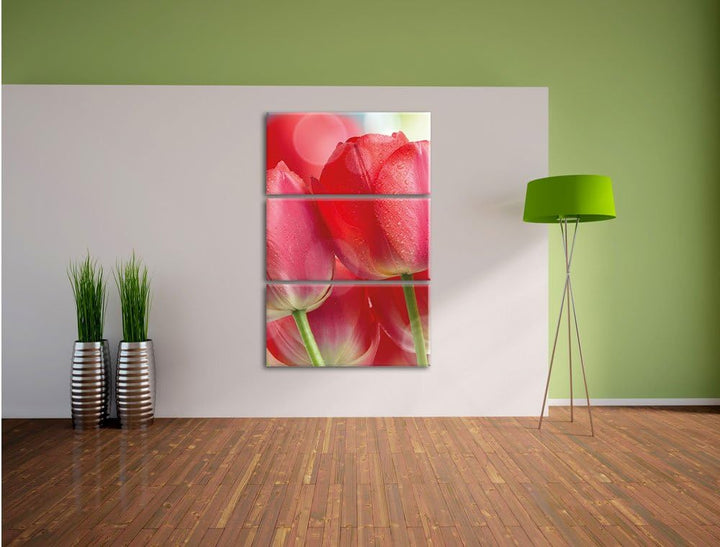 Pixxprint Rote Tulpen als Leinwandbild - Grösse: 3-Teilig (120x80cm) - Wandbild - Kunstdruck - ferti