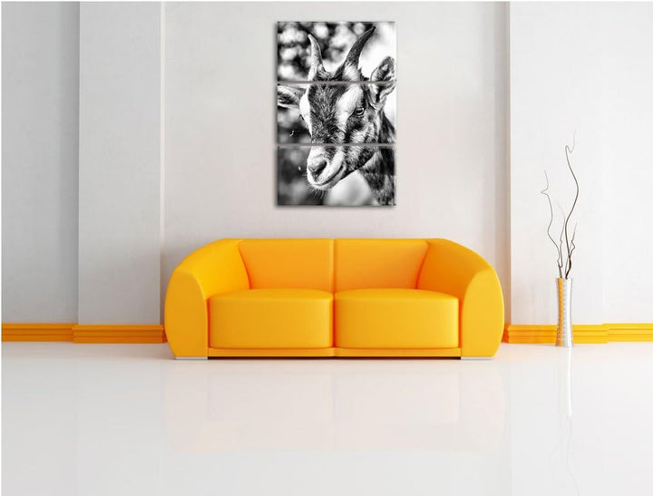 Pixxprint Niedliche Ziege als Leinwandbild/Grösse: 3 Teilig (120x80) cm/Wandbild/Kunstdruck/fertig b