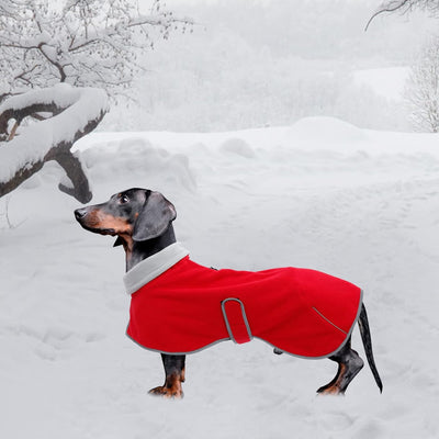 MOREZI Dackeljacke, Kaschmirfutter, Welpenwinterjacke mit Reflexbesatz und hohem Kragen, Hundeschnee