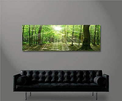 islandburner Bild Bilder auf Leinwand Sonnenstrahlen im Wald Bäume Spaziergang Panorama XXL Poster L