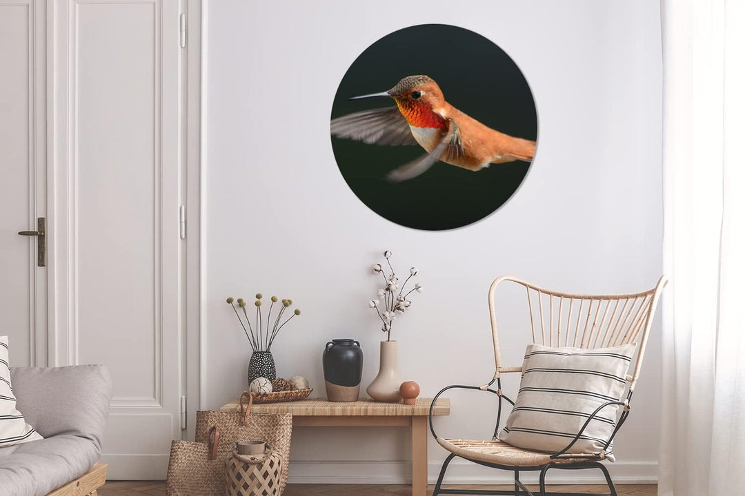 MuchoWow Wandbild Rund Wanddeko Deko Wohnzimmer Bilder 90x90 cm Kolibri - Federn - Schwarz, 90x90 cm