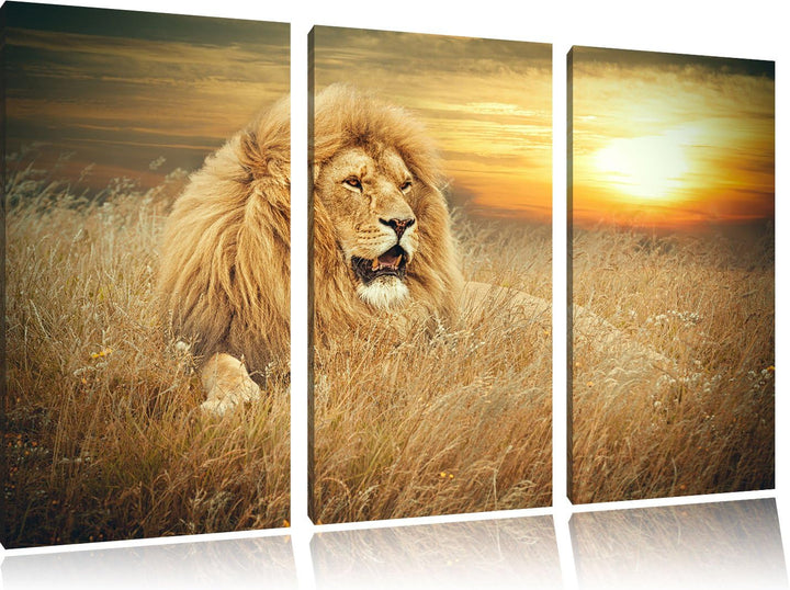 Pixxprint mächtiger Löwe als Leinwandbild/Grösse: 3 Teilig (120x80 cm) cm/Wandbild/Kunstdruck/fertig